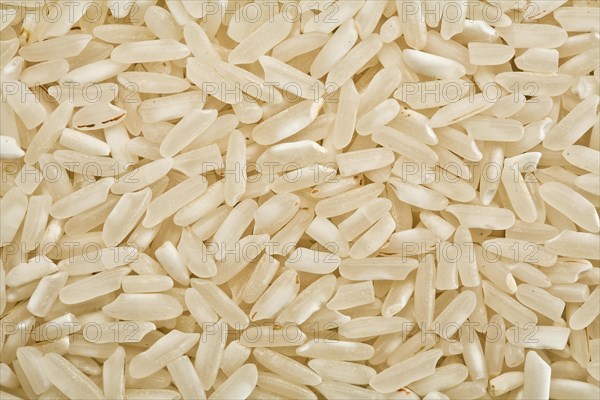 White raw rice background