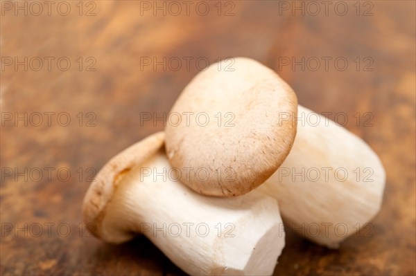 Bunch of fresh wild mushrooms on a rustic wood table