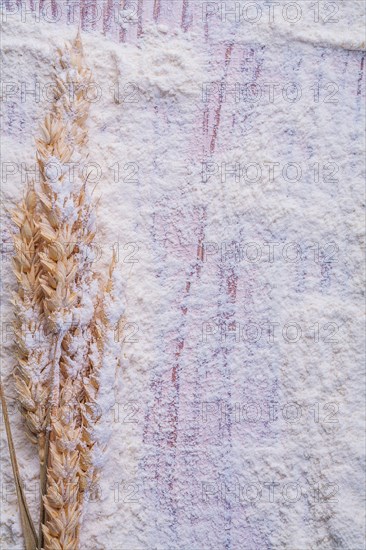 Copyspace image Wheat ears on white natural flour Food and beverage concept