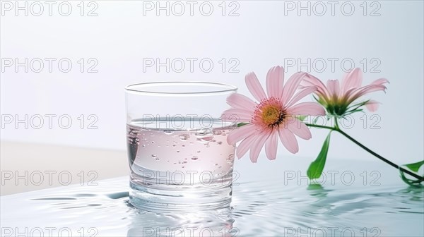 A serene composition with a clear glass of water and a pink flower