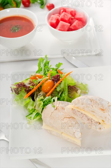 Tuna fish and cheese sandwich with fresh mixed salad