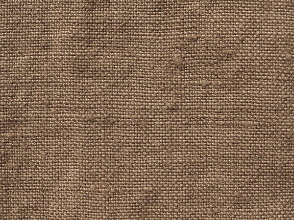 Brown fabric swatch sample