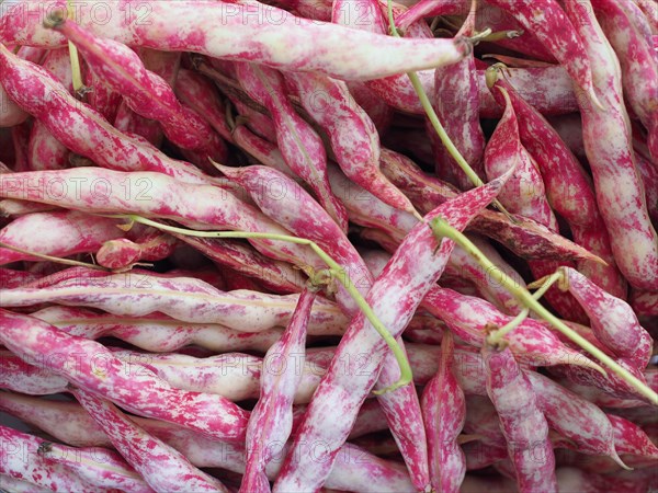 Crimson beans legumes vegetables food