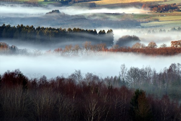 Hunsrueck landscape with forest and meadows on the edge of the Hunsrueck-Hochwald National Park with fog on an early winter morning