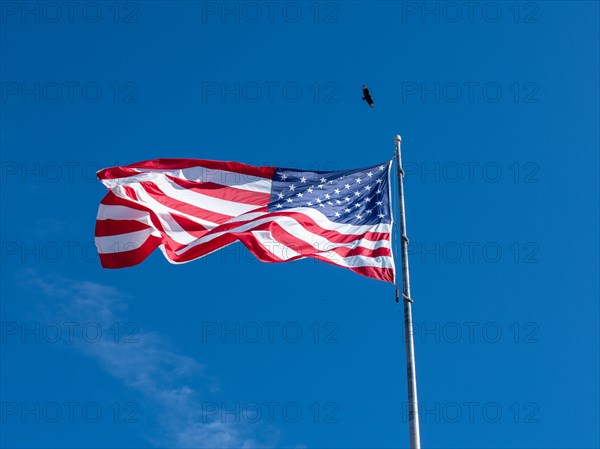 American flag