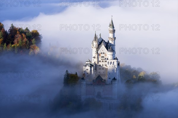 Neuschwanstein Castle in early autumn fog