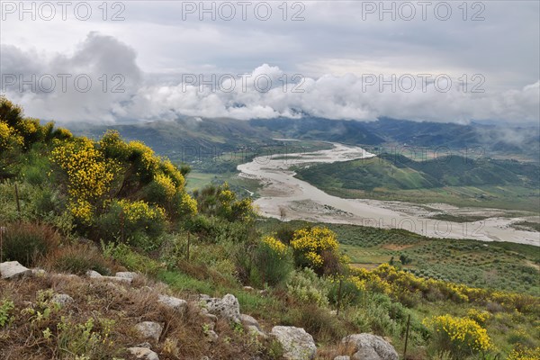 View from the Byllis Archaeological Park over flowering broom into the VJosa valley