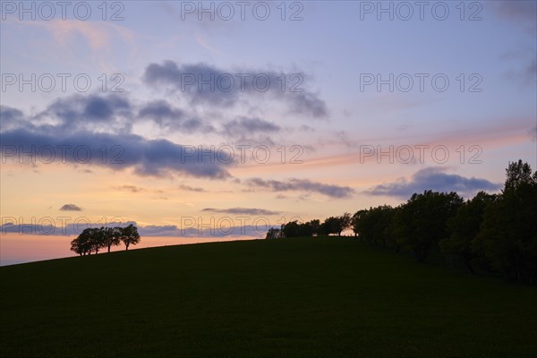 Wind beeches at sunset with cloudy sky in spring