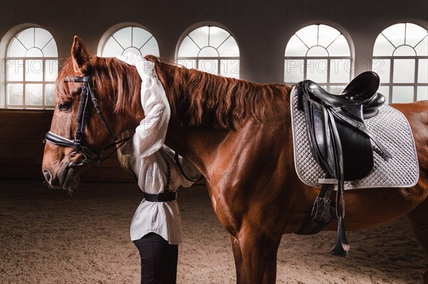 Portrait of a stylish woman hugging a thoroughbred horse. Love and care concept.