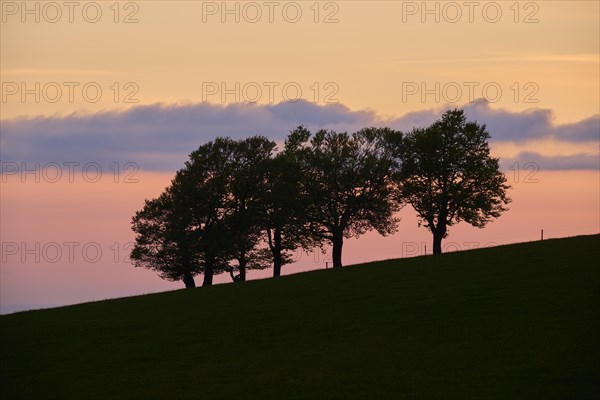 Wind beeches at sunset with cloudy sky in spring