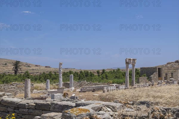 Ruins of the ancient city of Delos