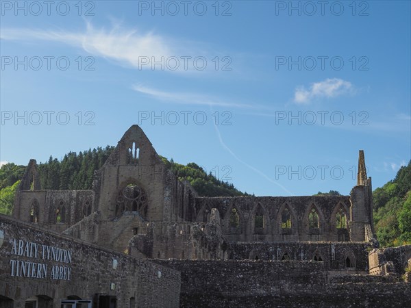 Tintern Abbey