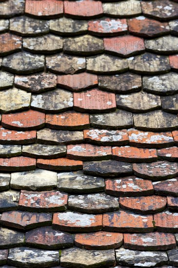 Historical roof tiles