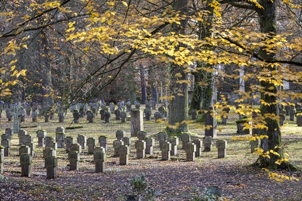 Cemetery for fallen soldiers of the world wars