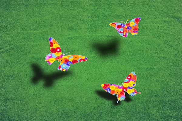 Three colorful butterflies flying over a green lawn. Graphic with different flowers