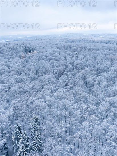Photographed from the air
