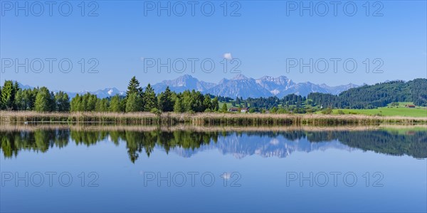 Panorama at Schmutterweiher