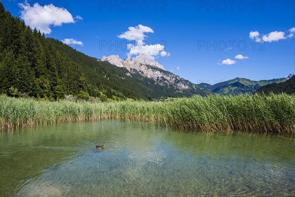 Haldensee