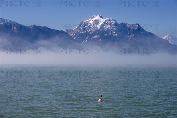 Morning atmosphere at Forggensee