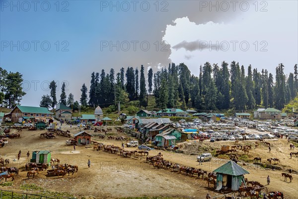 Rural mountain village with a busy market and horses under a bright blue sky in Gulmarg. The scenic valley of Gulmarg is a little piece of paradise cocooned by the mighty snow-clad mountains of the Pir Panjal range in Jammu Kashmir