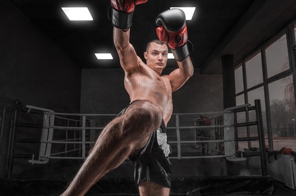 Image of a kickboxer in the gym. Knee kick. Mixed martial arts. Sports concept