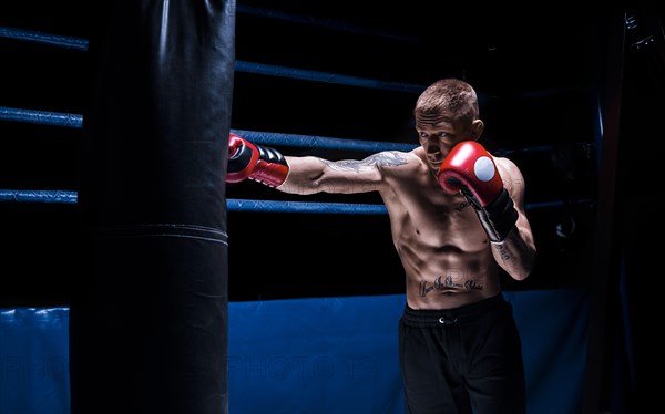 Professional boxer hits the bag against the background of the ring. Side view. The concept of sport and classic boxing.