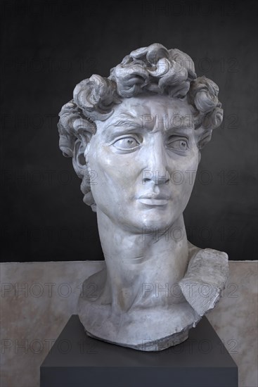 Bust modelled on the original in marble by Michelangelo by an unknown 19th century artist