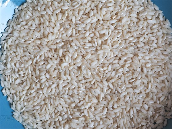 Carnaroli rice food
