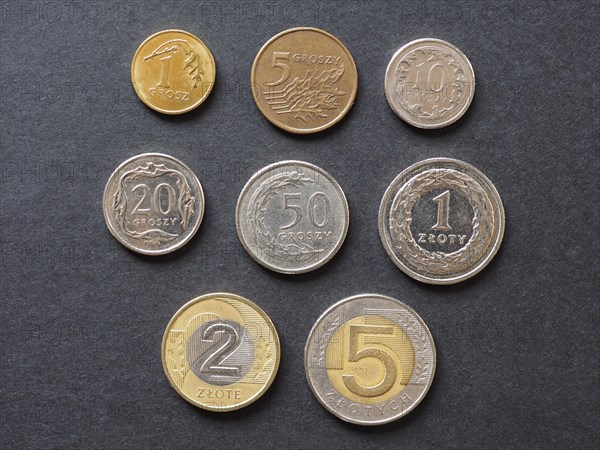 Polish Zloty coins