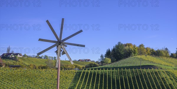 Klapotetz and vineyards
