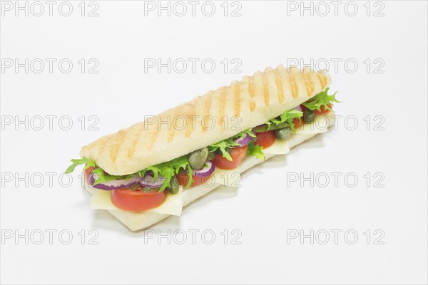 Gourmet panini with onions