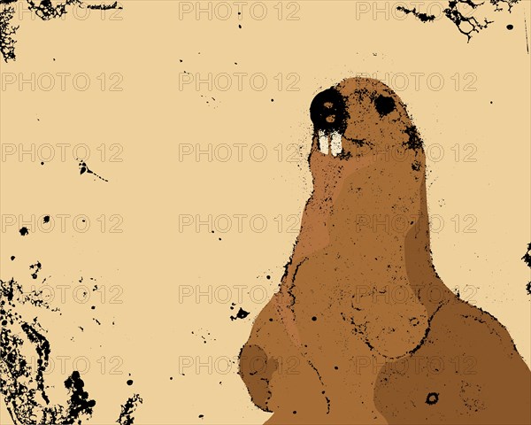 Vector grunge abstract art groundhog background