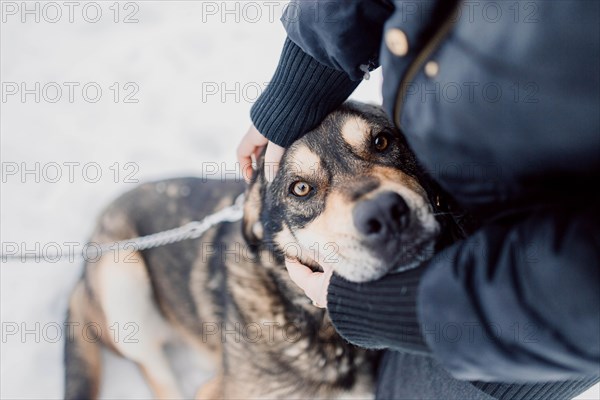 Homeless cute dog looks with sad and kind eyes at a person in a shelter for homeless animals