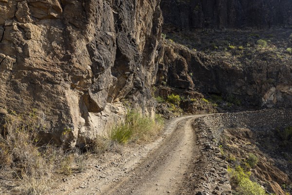 Unpaved road in the mountains