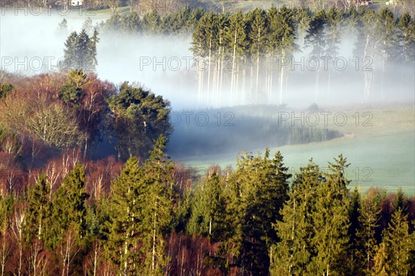 Hunsrueck landscape with forest and meadows on the edge of the Hunsrueck-Hochwald National Park with fog on an early winter morning