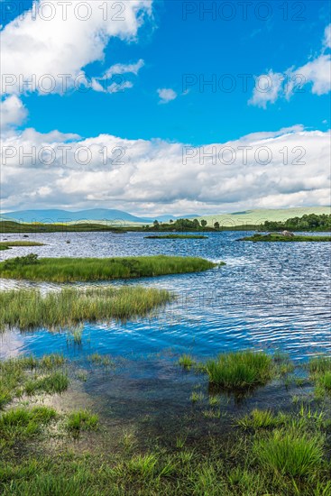 View of Rannoch Moor