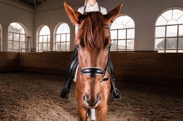 Image of a woman riding a thoroughbred horse. The background is a racing arena.