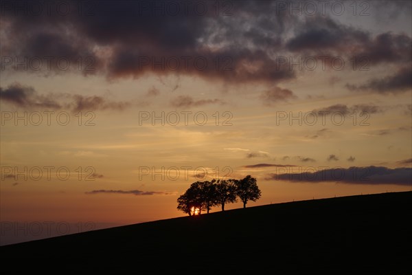 Wind beeches at sunset with cloudy sky in spring