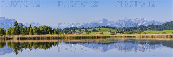 Panorama at Schmutterweiher