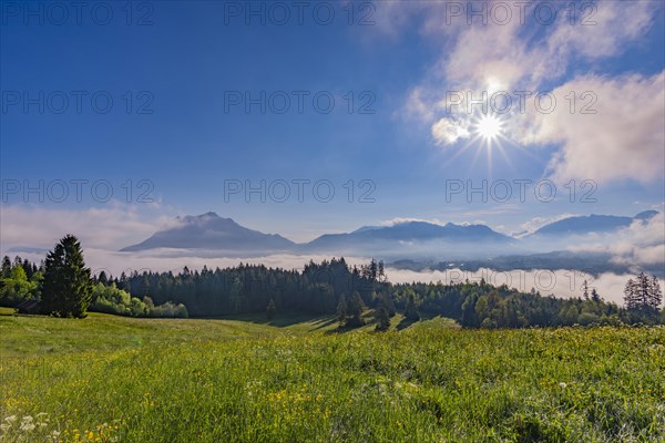 View from the Wittelsbacher Hoehe to the Gruenten