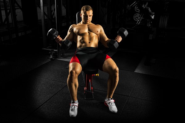 Professional athlete makes an exercise on the biceps by lifting dumbbells while sitting on the bench. View from above