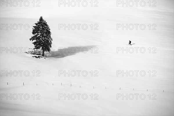 Lone ski tourer on a ski tour to Wasserspitz near Bodenschneid