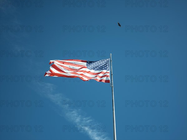 American flag