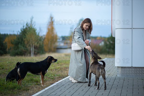 Young woman volunteer feeding a family of stray dogs on the street