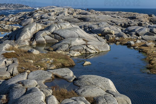 Peggys Cove Rock- Coast Canada