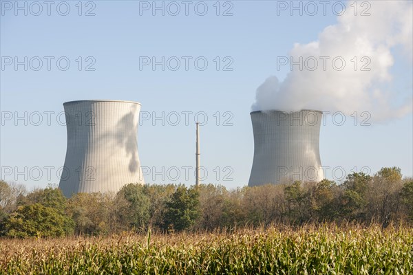 Nuclear power plant