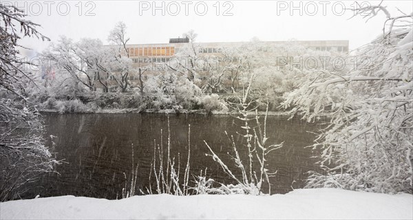 Snowfall and winter atmosphere