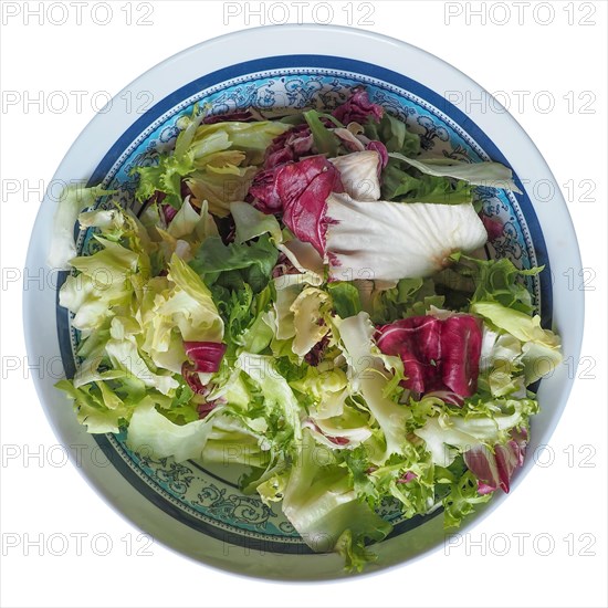 Mixed leaf salad over white
