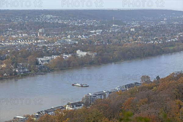 Rhine Ferry