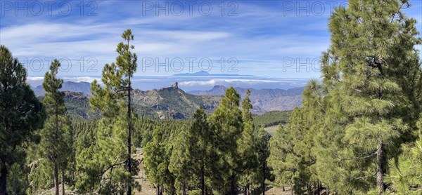 View of Roque Nublo and the Teide mountain peak on the neighbouring island of Tenerife